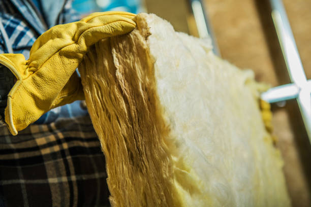 Best Residential Insulation Services  in Downingtown, PA